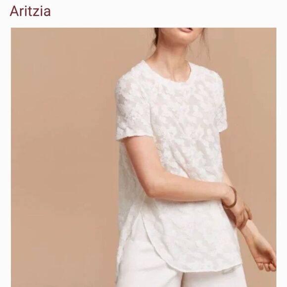 Aritzia floral lace tshirt top - Picture 10 of 12